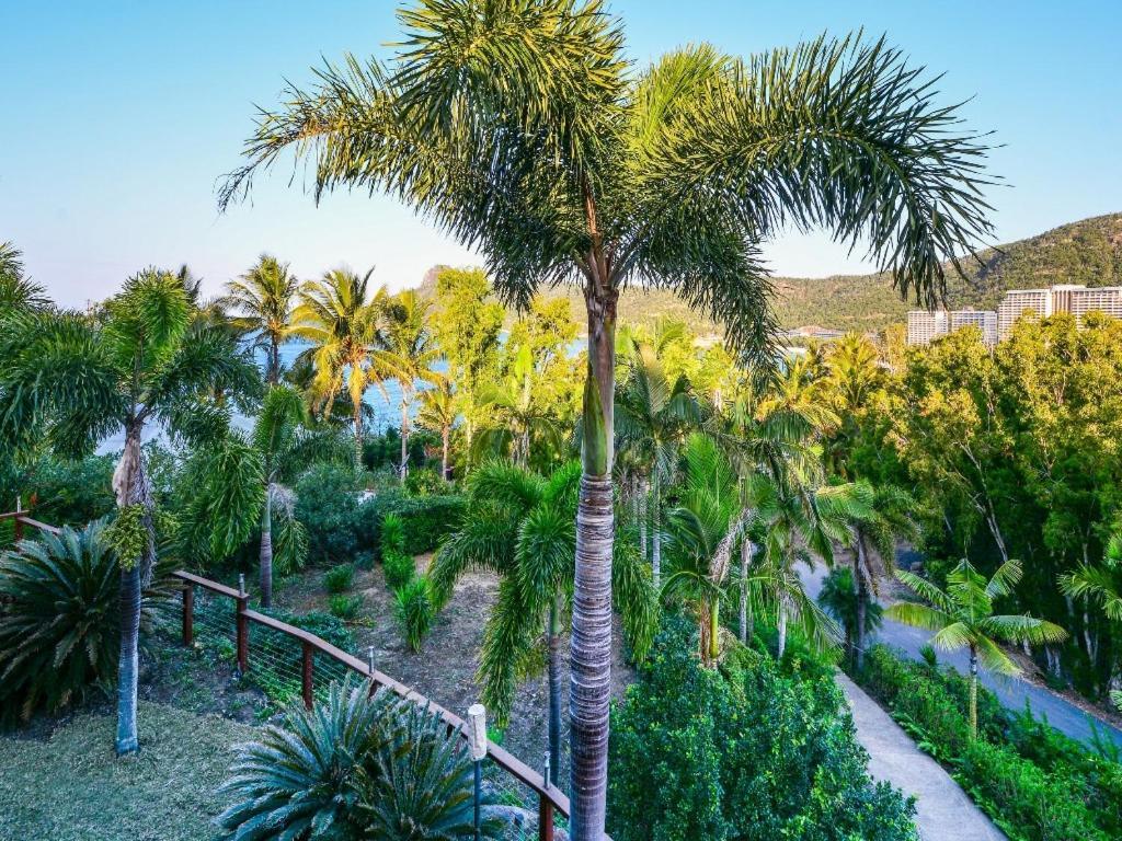 The Palms On Hamilton Island Villa ภายนอก รูปภาพ